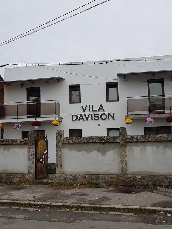 Casa Davison Apartment Târgu Jiu Exterior foto